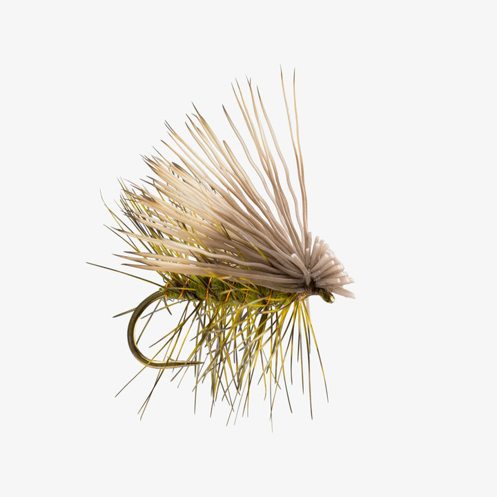 Rio Elk Hair Caddis dry fly with olive-green body and yellow hackle