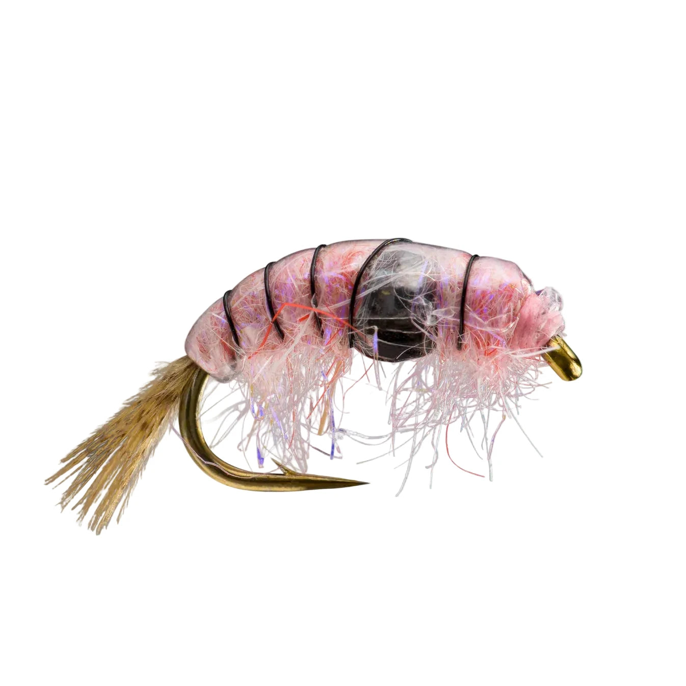 Rio Midweight Scud fly with black tungsten bead and pinkish-white body