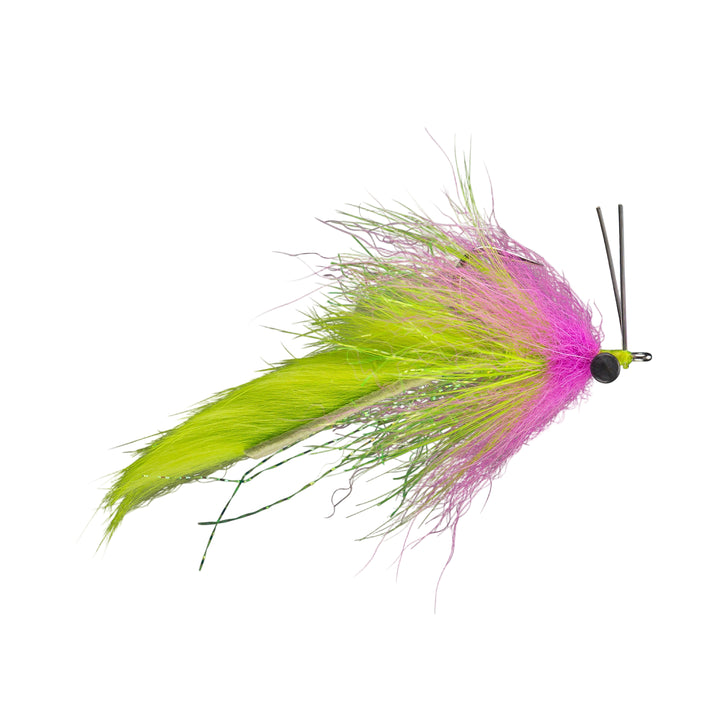 Rios Swamp Fox 