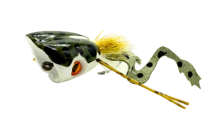 Dark green foam popping frog fly with white belly and orange eyes
