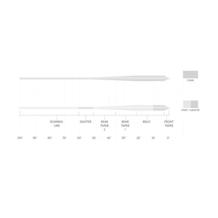 Technical diagram showing taper profile and clear ivory tip of fly line