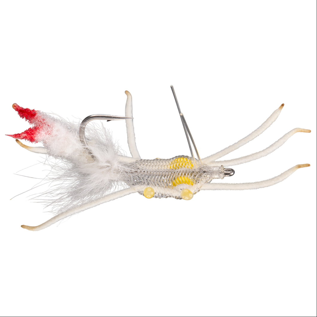 Fiddler on the Reef White Crab Yellow Eye -6PK