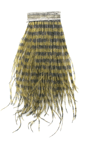 MFC - Strung Barred Ostrich