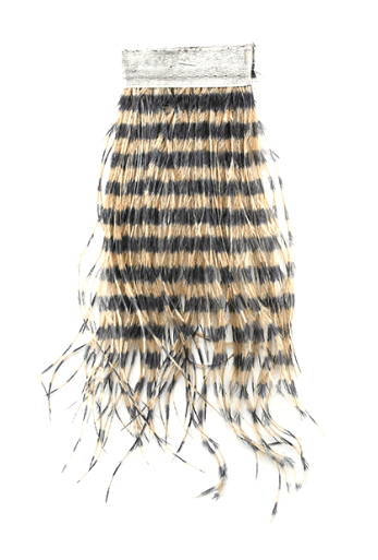 MFC - Strung Barred Ostrich