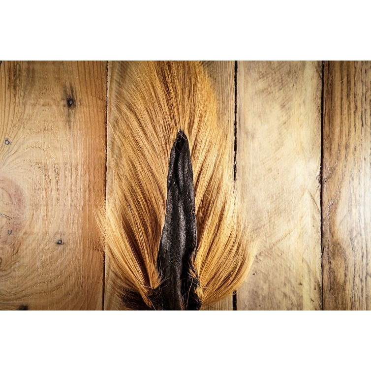 Large Northern Buck Tail - All Colors