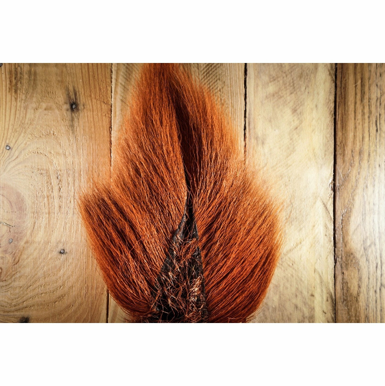 Large Northern Buck Tail - All Colors