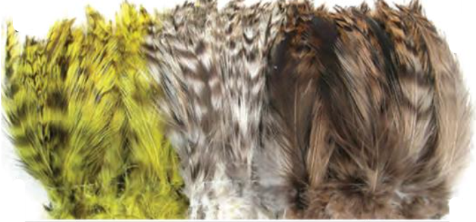 Barred Strung Neck Hackle - All Colors