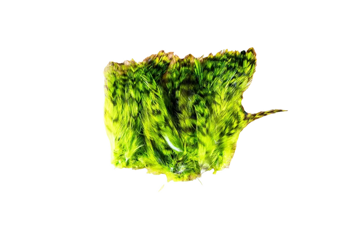 Barred Strung Neck Hackle - All Colors