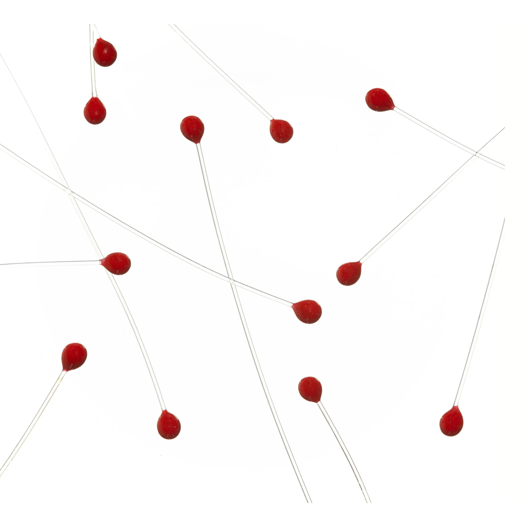 EP Crab & Shrimp Eyes