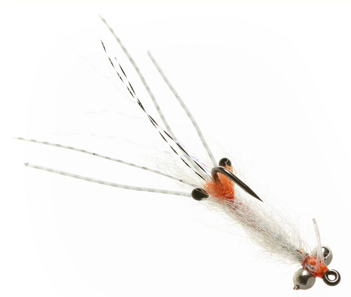 Enrico Puglisi Spawning Shrimp - Transparent