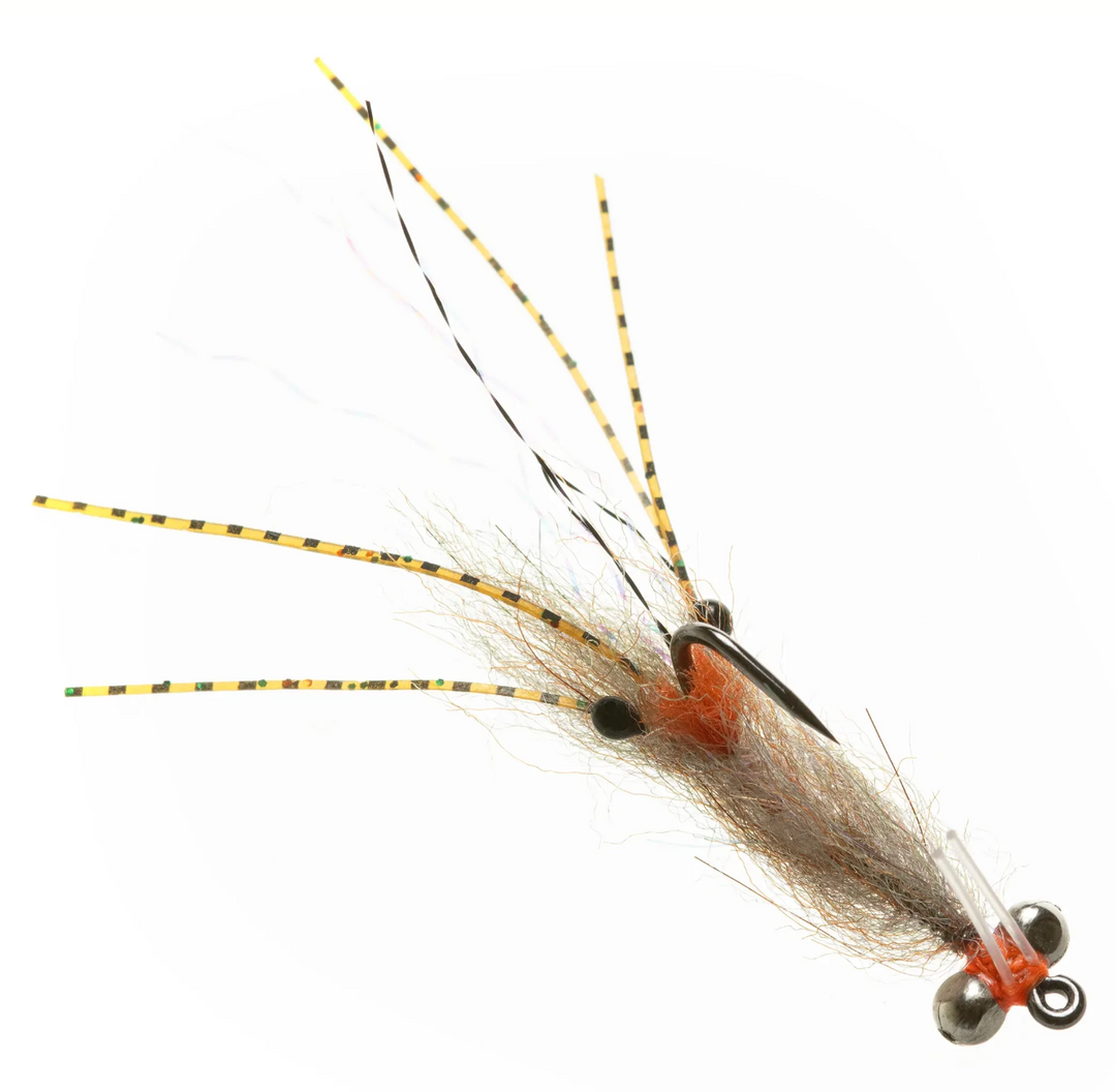 Enrico Puglisi Spawning Shrimp - Root Beer