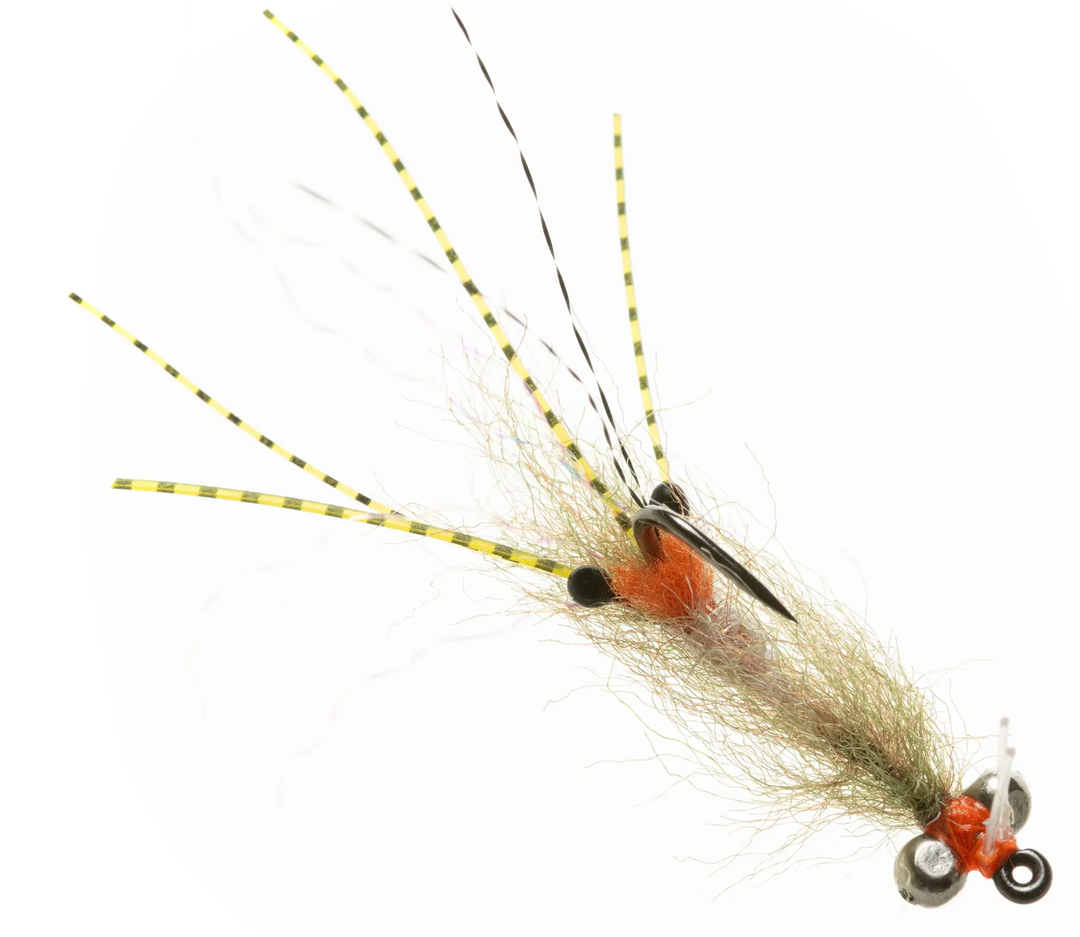 Enrico Puglisi Spawning Shrimp - Olive