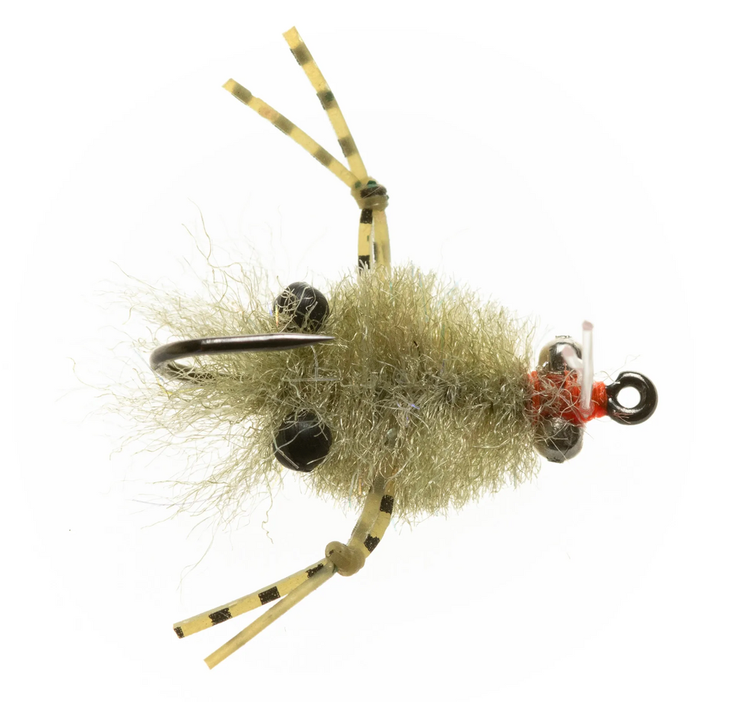 EP - Turneffe Micro Crab Pale Olive #8