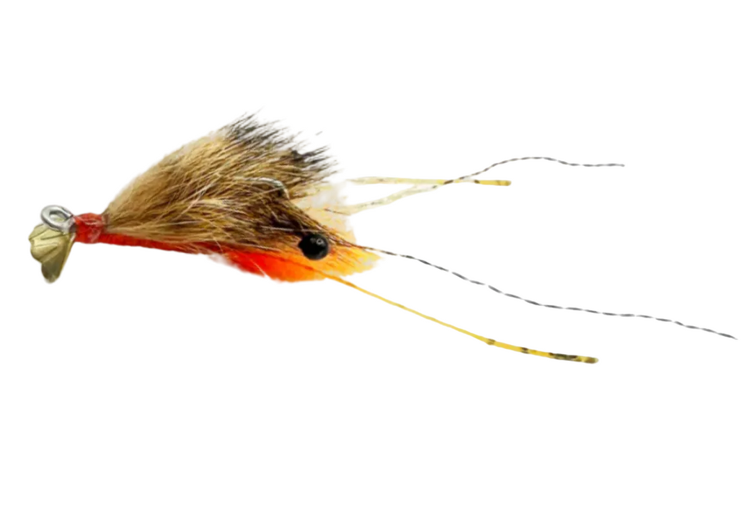 FS Spawning Shrimp #4