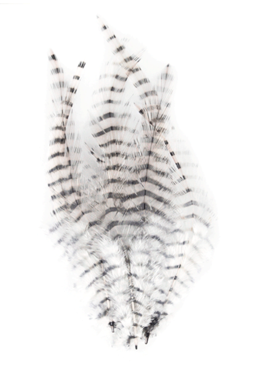 MFC Barred Saddle Hackle - All Colors