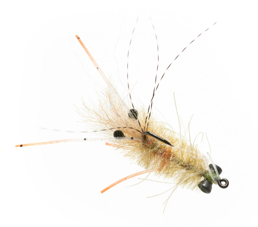 Enrico Puglisi Mantis Shrimp - Tan