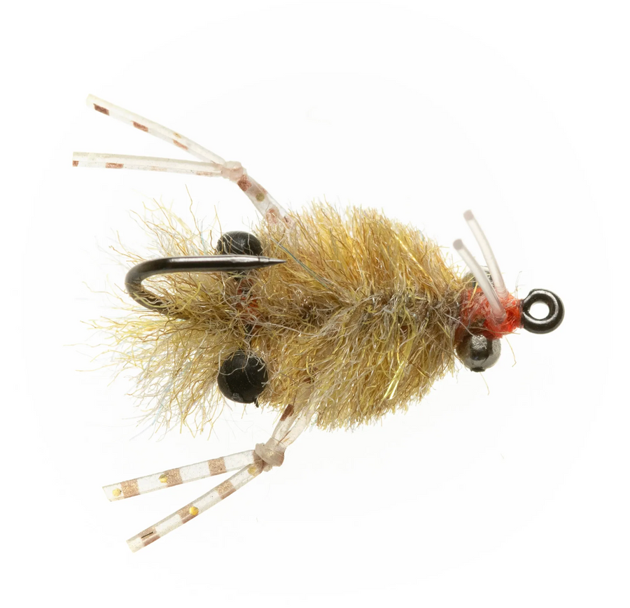 UMPQUA COCKROACH LARGE