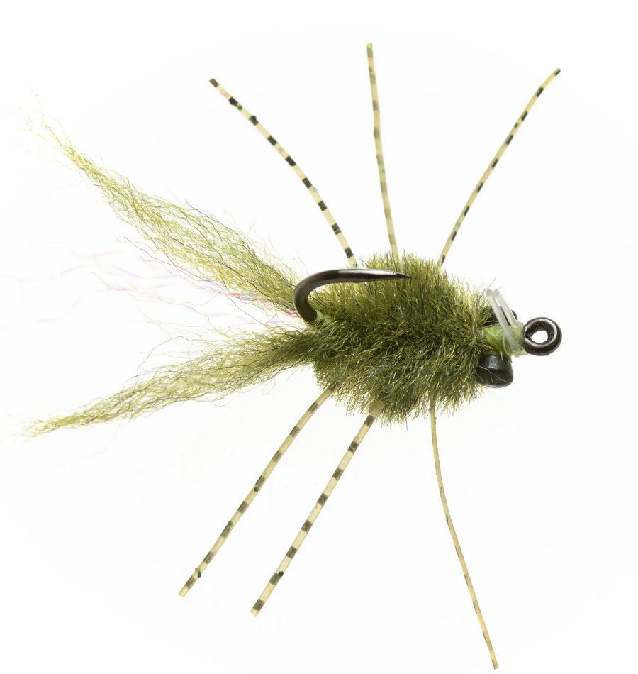 UMPQUA COCKROACH LARGE