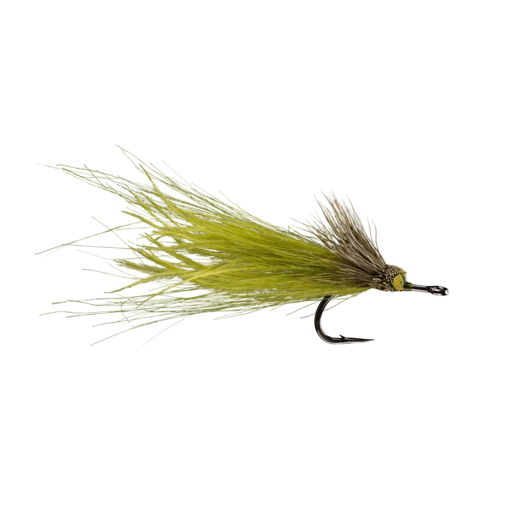 Rio's Dread Pirate - All Colors