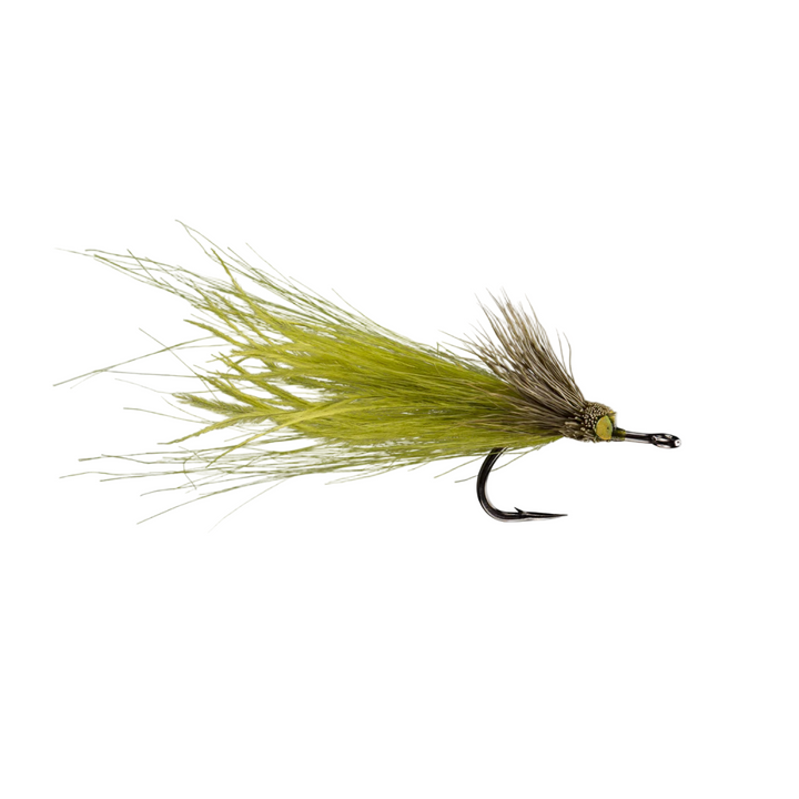 Rio's Dread Pirate - All Colors