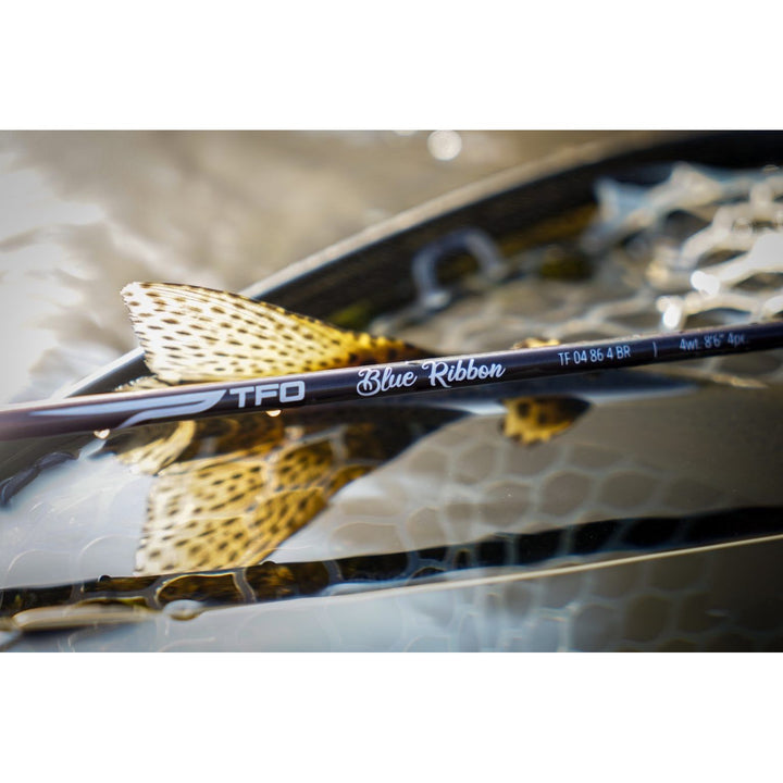 Close-up of TFO Blue Ribbon 4wt 8&
