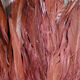 Close-up of reddish-brown 828 fly tying feathers showing fine barbs and texture