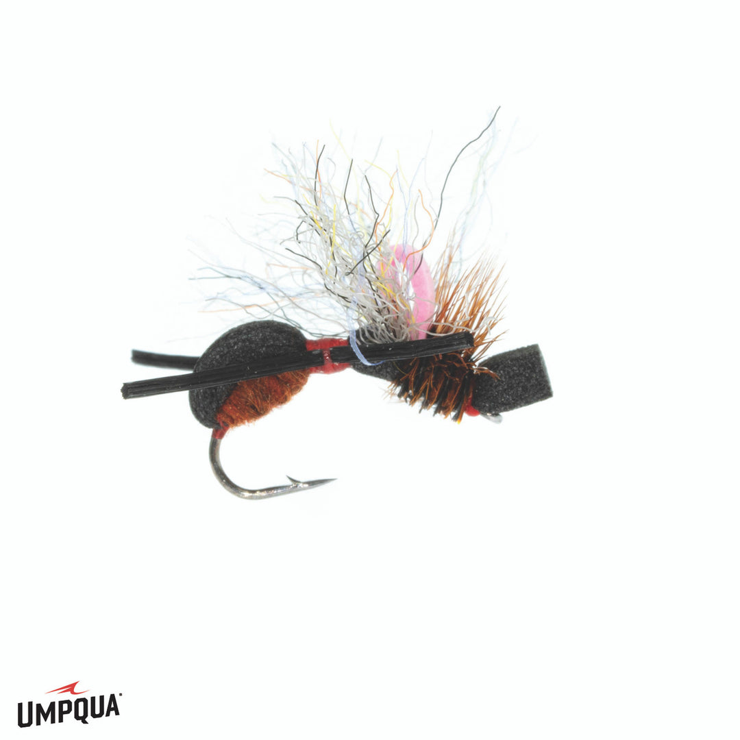 Umpqua - Fat Angie