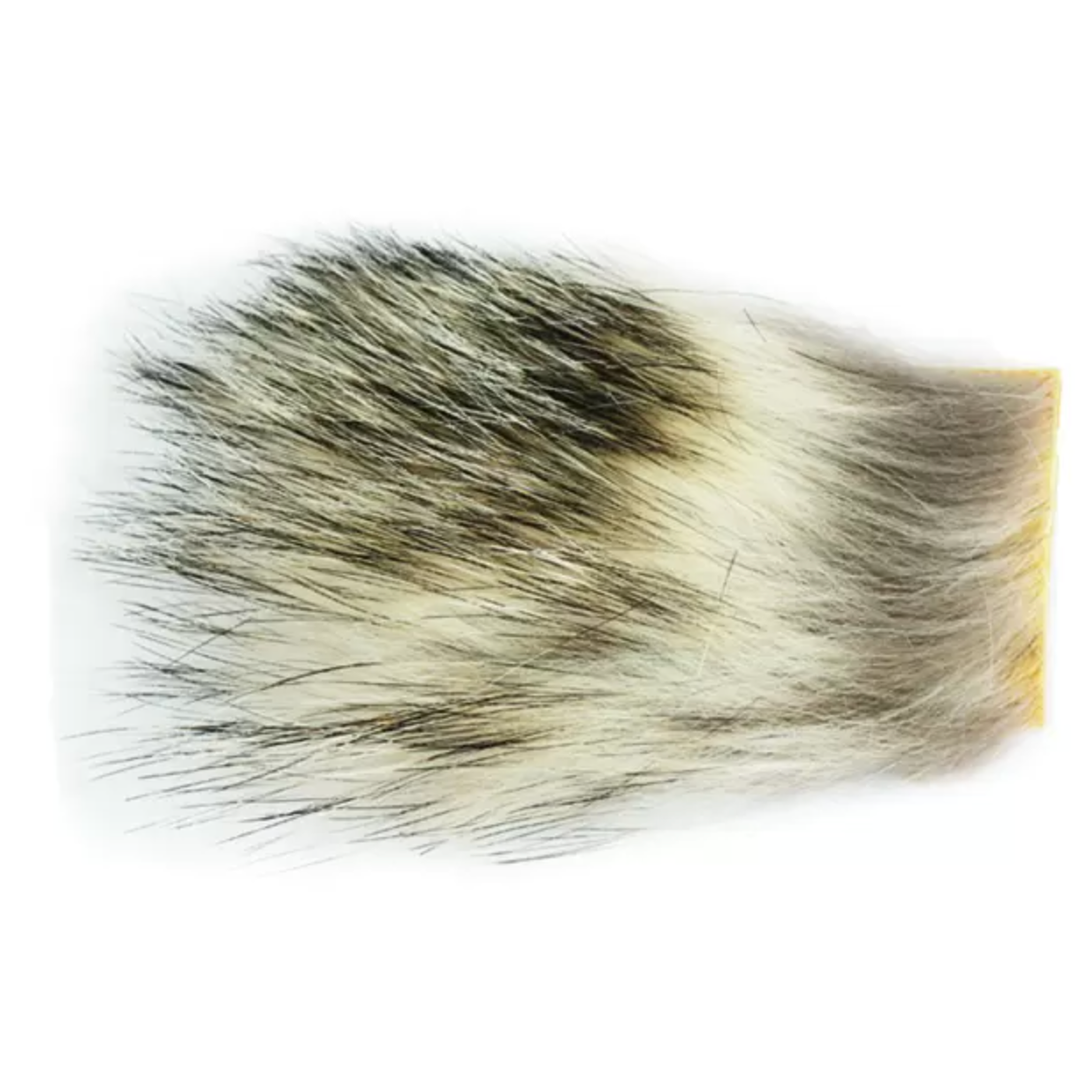 Wapsi - Badger, Large