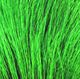 Deer Belly Hair - All Colors