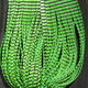 Grizzly Flutter Legs - All Colors