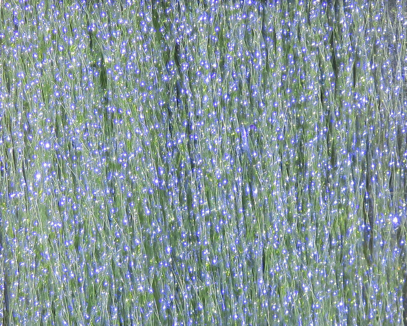 Krystal Flash - Herring Black