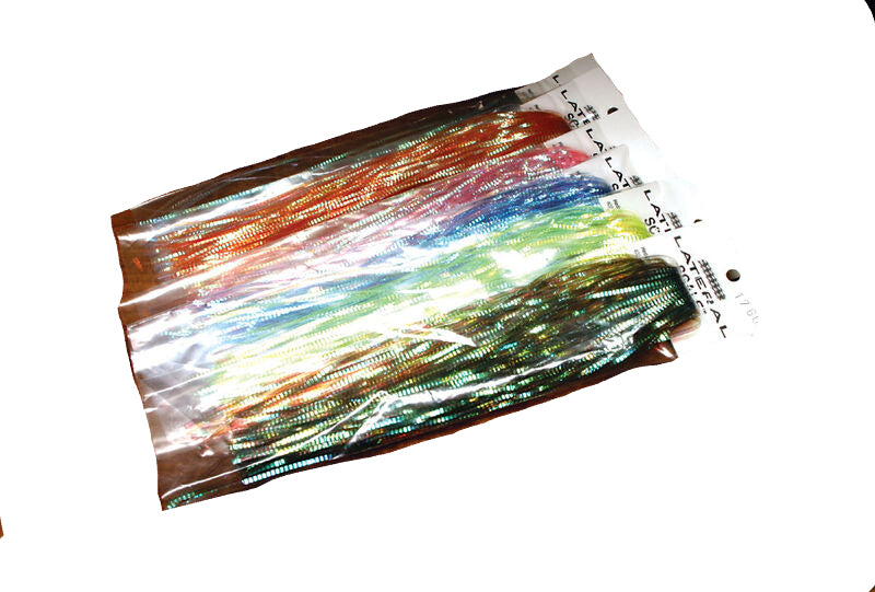 Lateral Scale Flash - All Colors