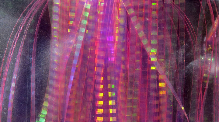 Lateral Scale Flash - All Colors