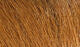 Extra Select Craft Fur - All Colors