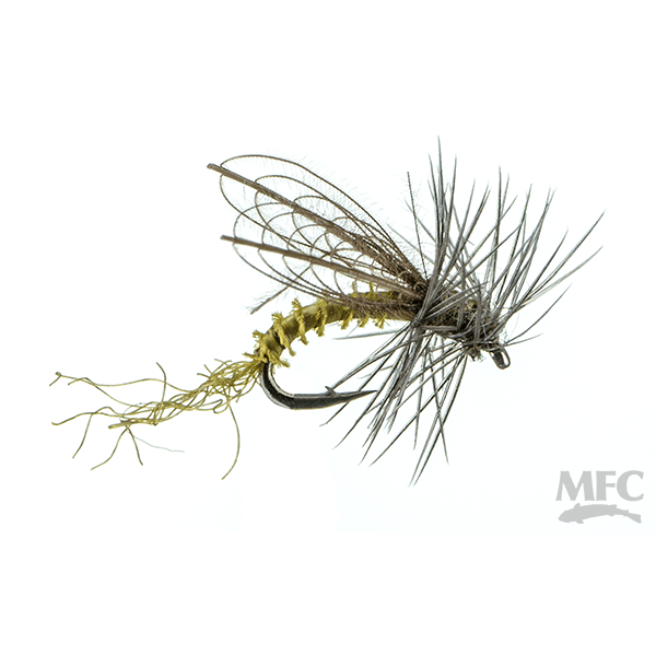 MFC - CDC Winged Emerger - BWO
