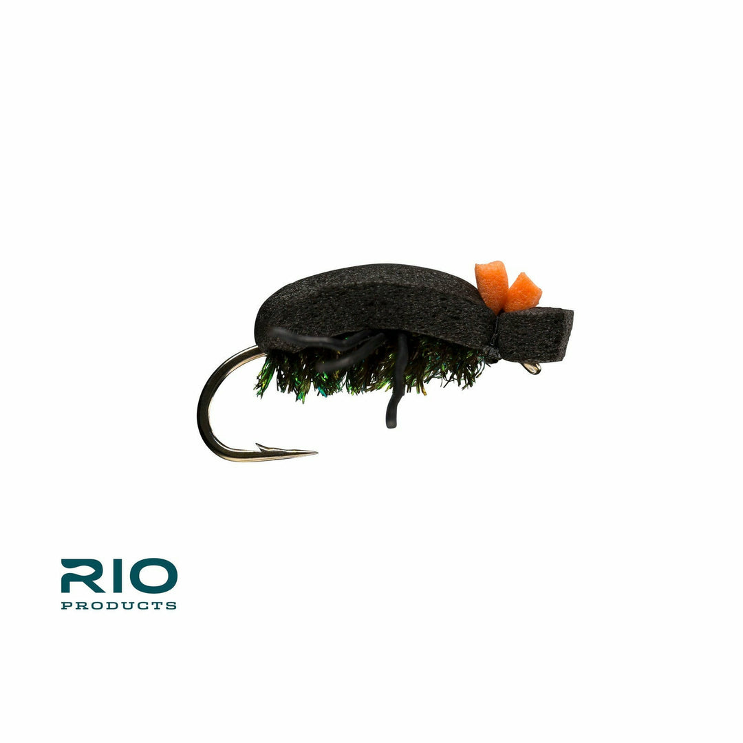 Rio - Foam Beetle
