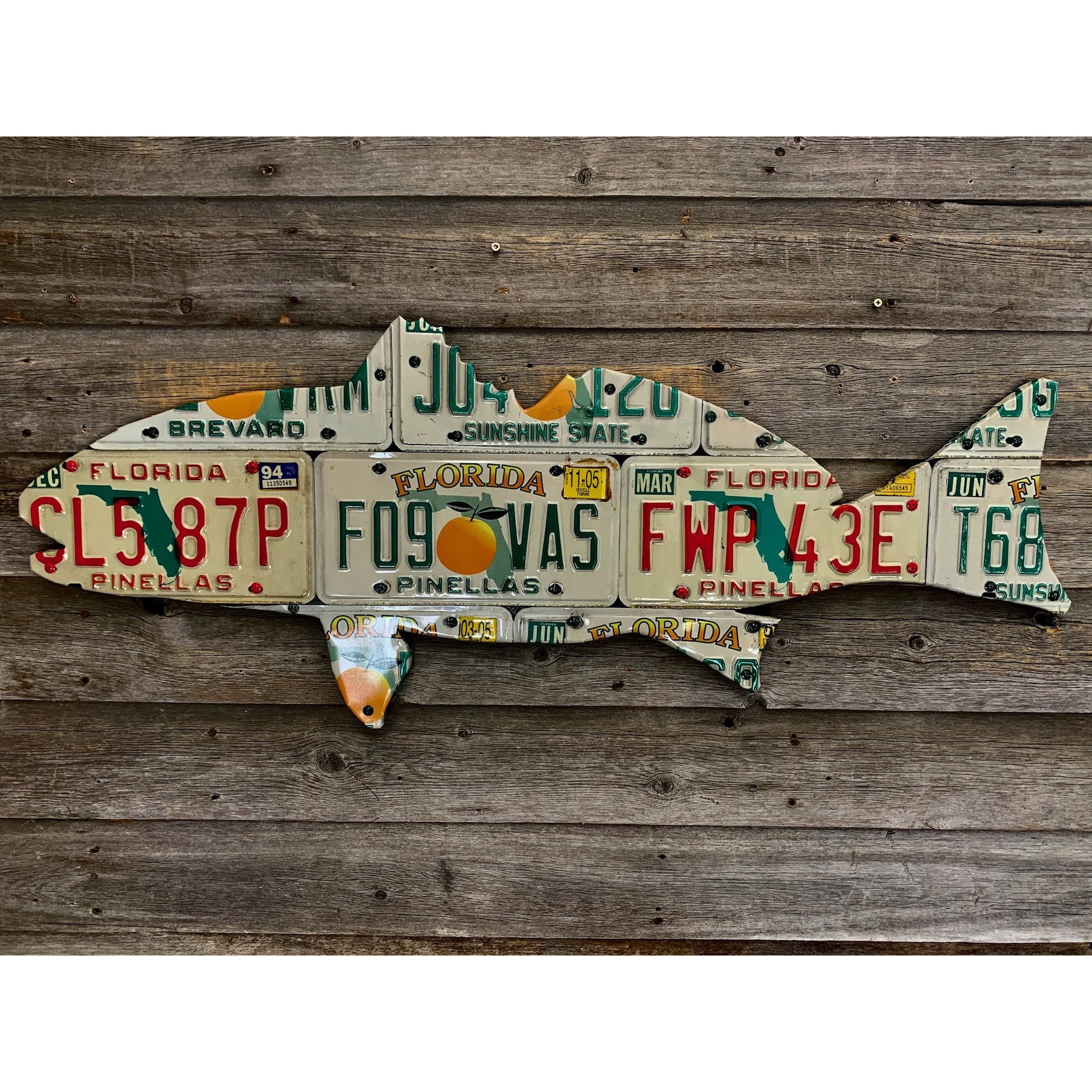 Florida Redfish License Plate Art
