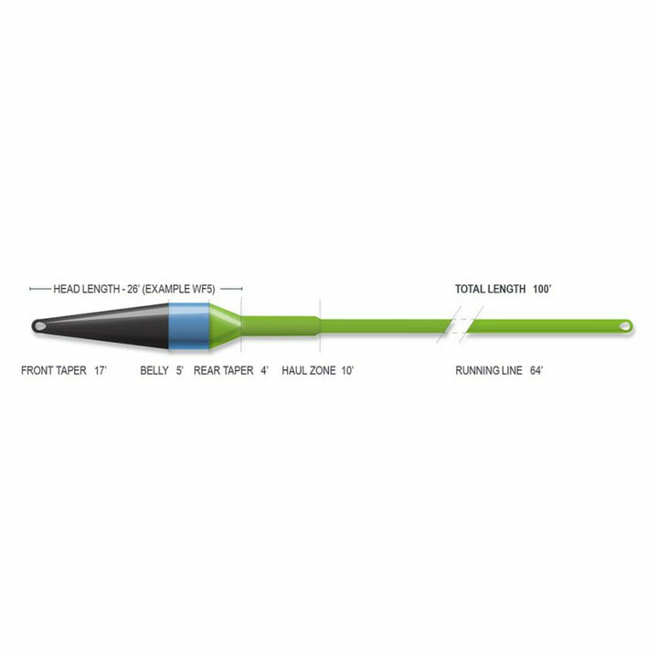 Airflo Streamer Max Short fly line profile diagram showing front taper, belly, and haul zone