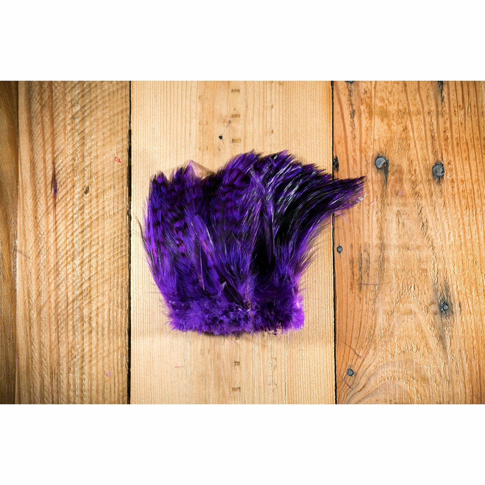 Purple barred strung neck hackle feathers for fly tying