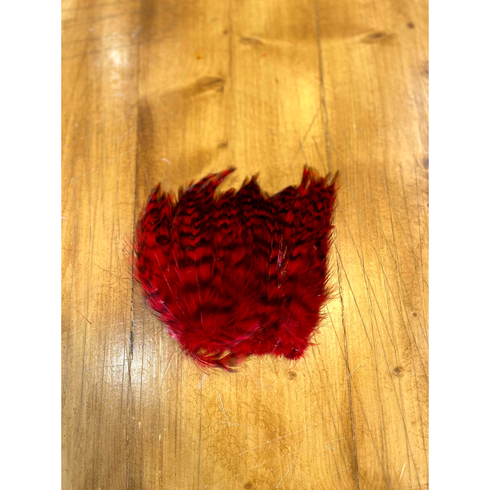 Red barred strung neck hackle feathers for fly tying
