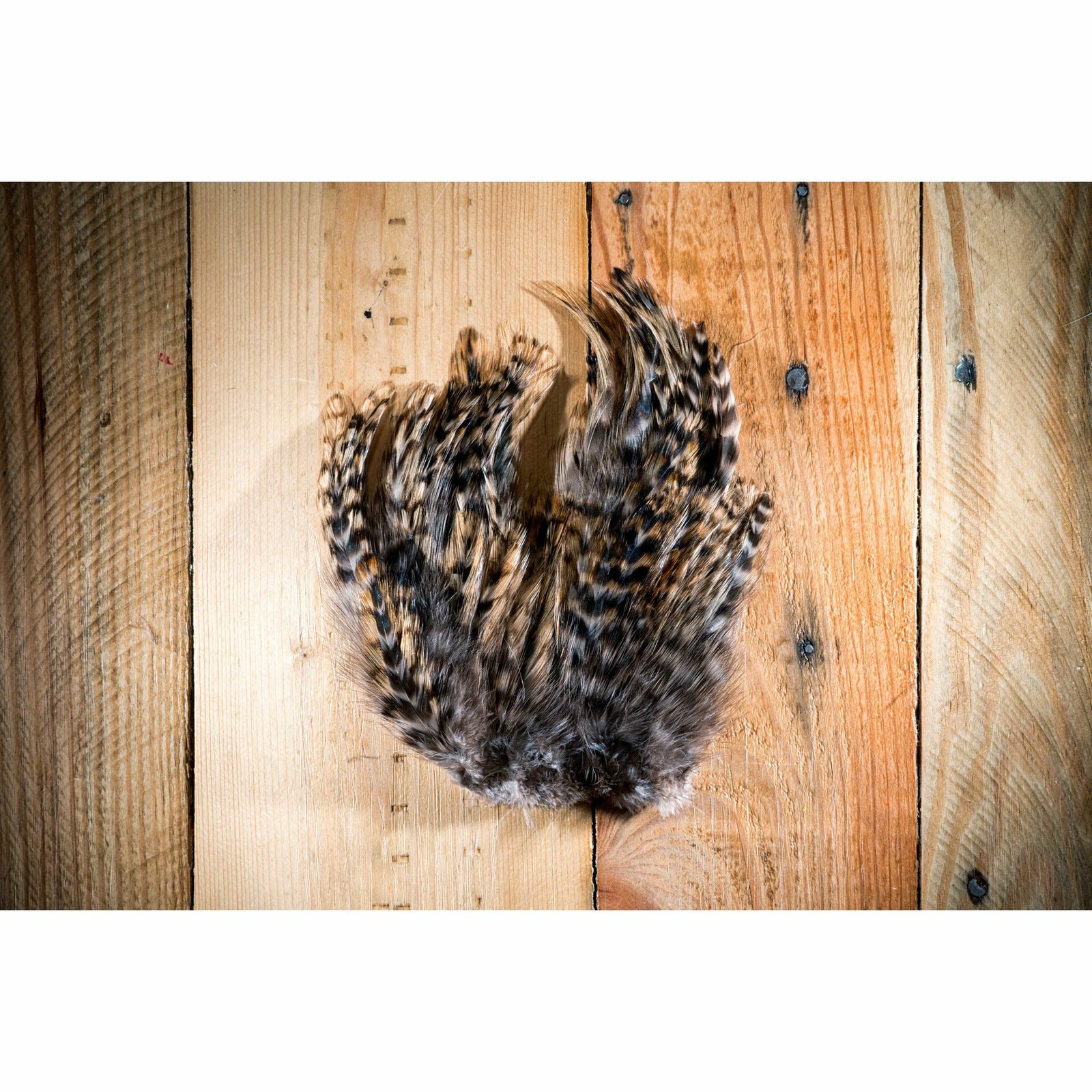 Tan barred strung neck hackle feathers for fly tying