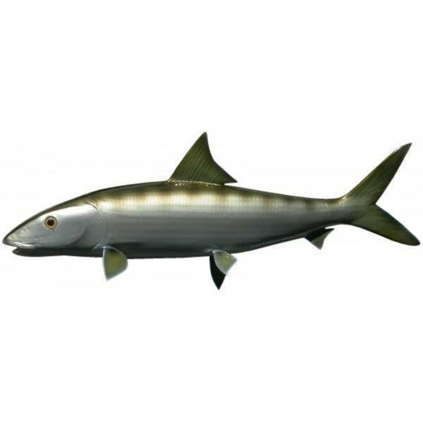 Bonefish Mount
