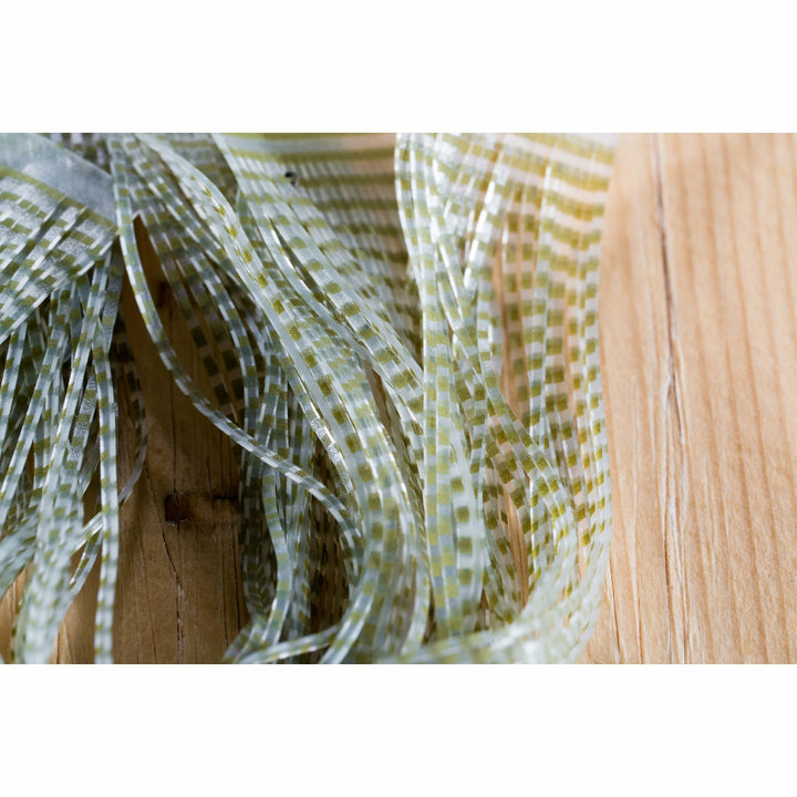 Close-up of olive green barred pattern on clear sili legs