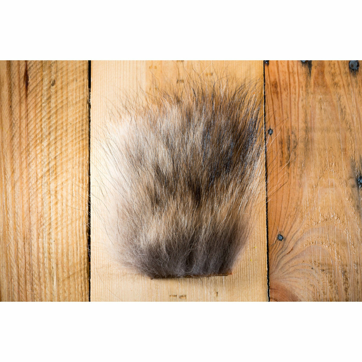 Natural coyote fur fly tying material with grey, tan, and white gradient fibers