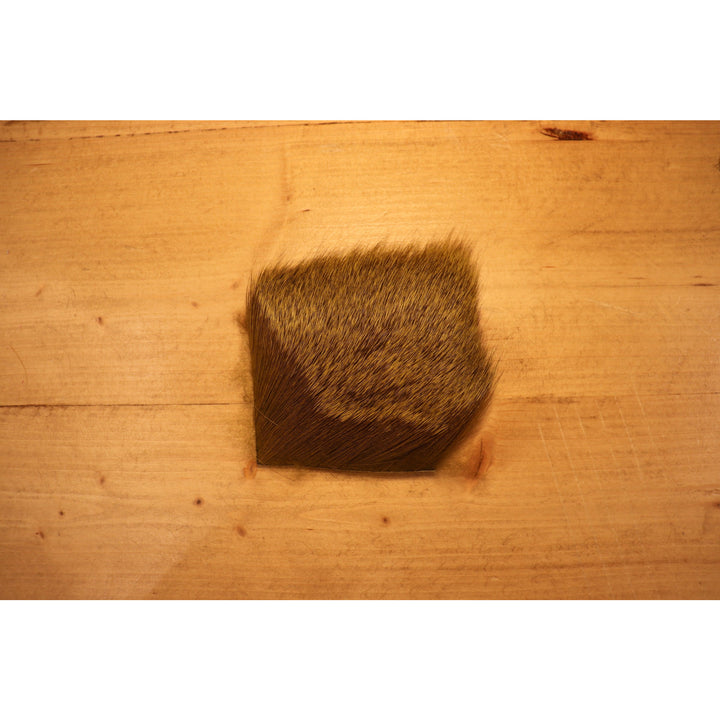 Deer Body Hair