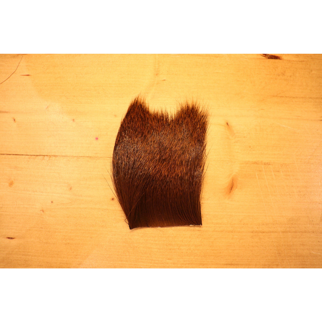 Deer Body Hair