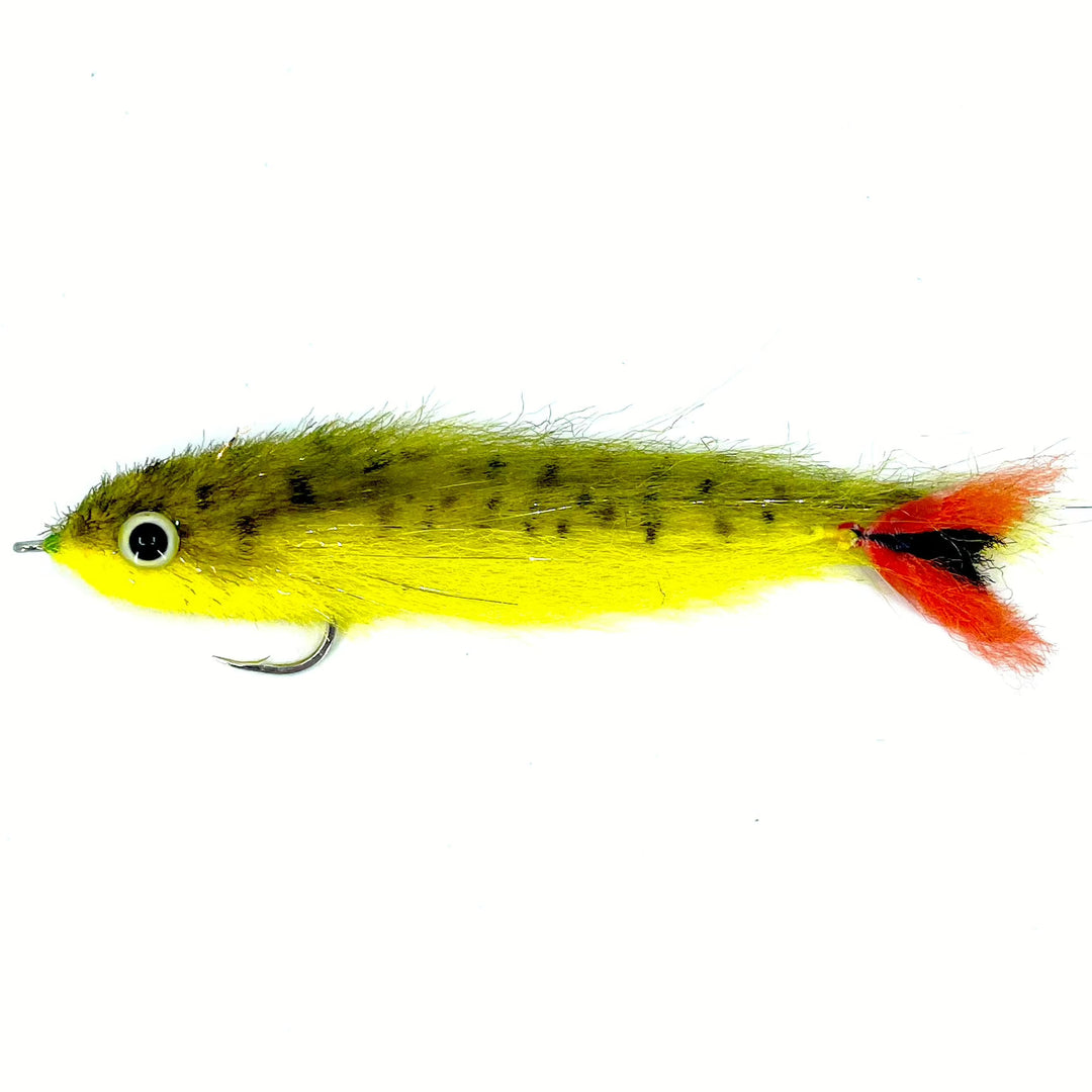 Olive and yellow hand-tied baitfish fishing fly for Golden Dorado