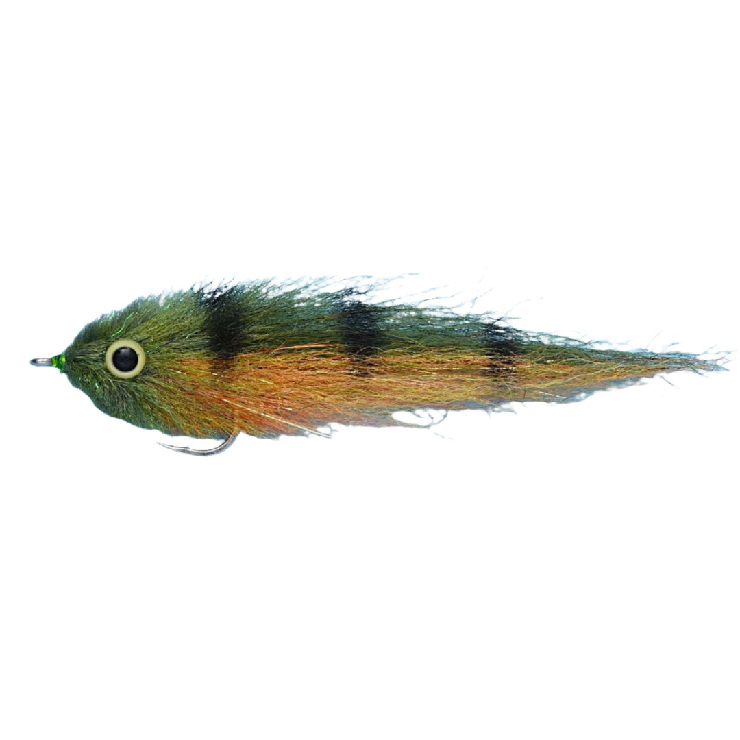 EP- BABY PEACOCK 