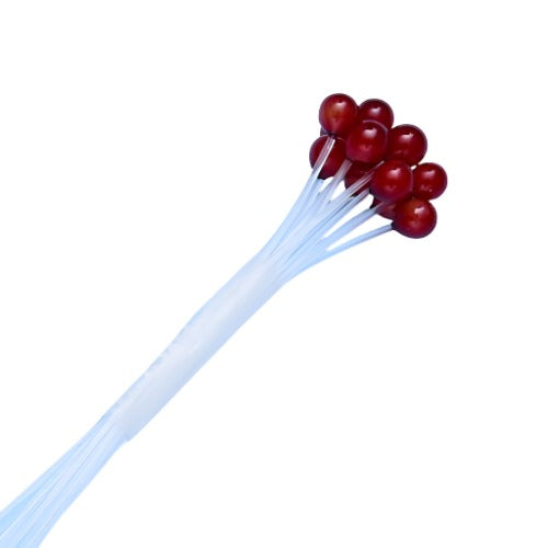 Deep red glossy extra small crab and shrimp fly eyes