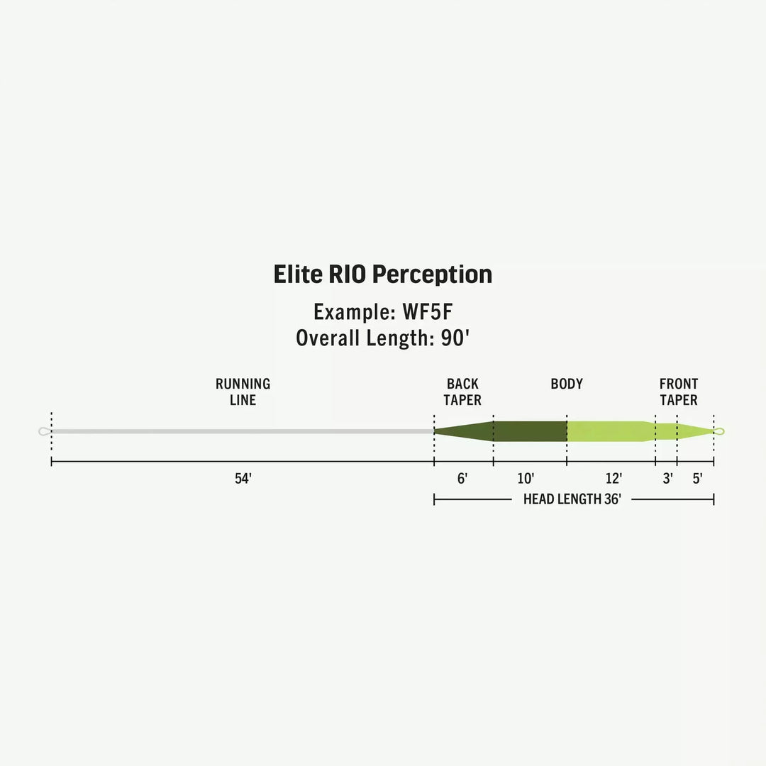 Elite Rio Perception fly line profile diagram showing head length and taper